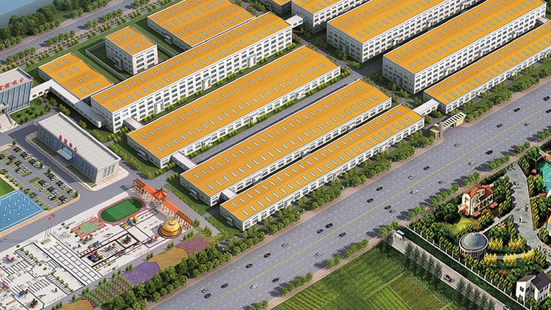 泛醌与泛醇：揭秘辅酶Q10与泛醇的差异